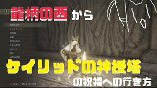 【ELDEN RING】龍柄の西→ケイリッドの神授塔の祝福までの行き方