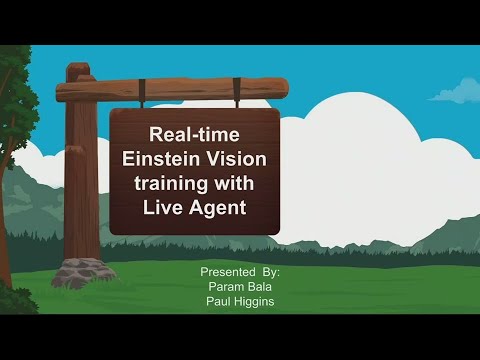 Real-time Einstein Vision Training with Live Agent
