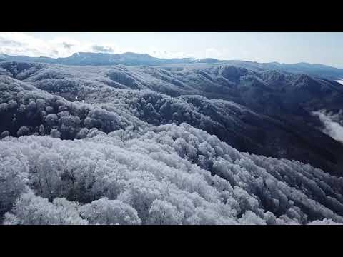 Early Snow Nozawa Onsen Japan