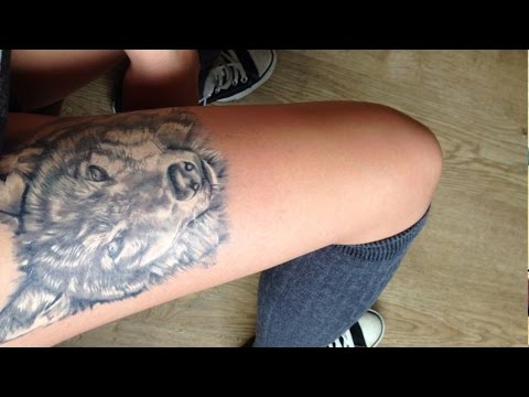 download lagu mp3 mp4 Wolf Thigh Tattoo, download lagu Wolf Thigh Tattoo gratis, unduh video klip Wolf Thigh Tattoo