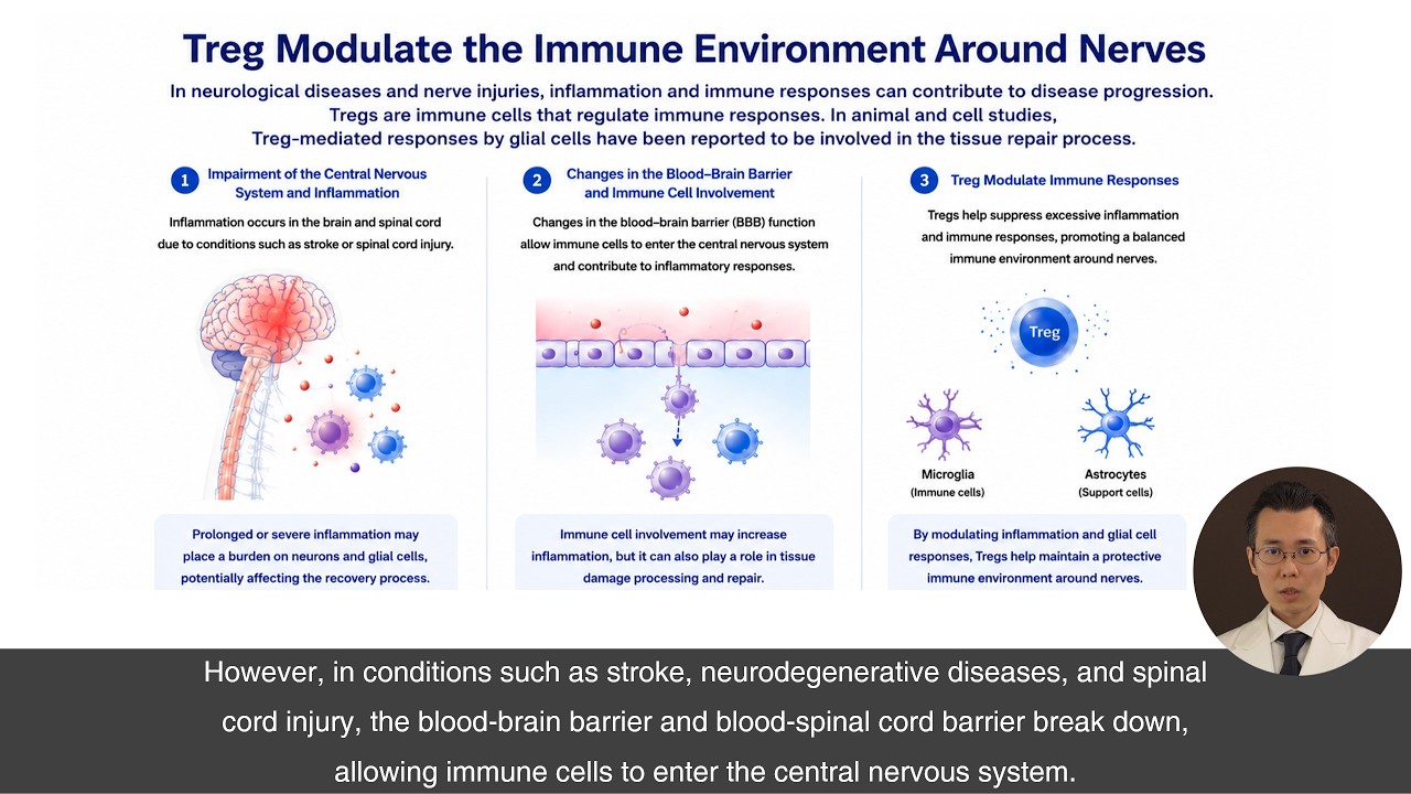 ④ About Regulatory T Cells