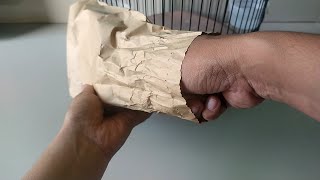 Download lagu YOU DON'T HAVE TO HAVE A MURAI, JUST THIS BIRD WILL MAKE YOU HAPPY mp3