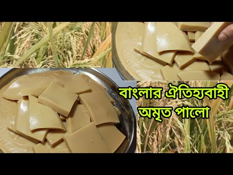 গ্রাম বাংলার ঐতিহ্যবাহী অমৃত পালো | Bengali Traditional Palo  pitha Recipe | Winter Special Pitha