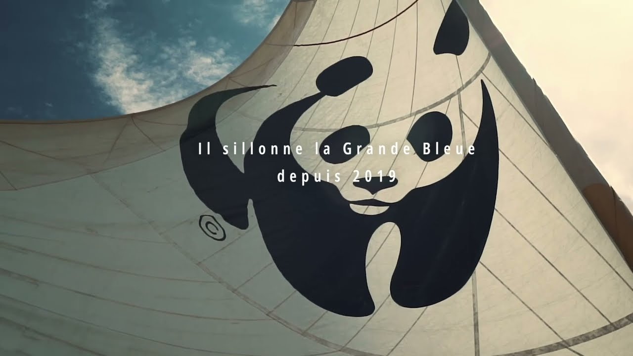 TRAILER BLUE PANDA