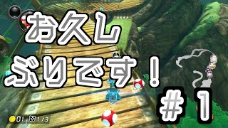 【ゆっくり実況】骨身を削ってマリオカート　パート１