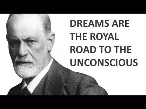 Freud: Dream Journal, Analyzer