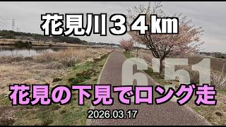 【ロング走】八千代中央駅から幕張まで新川・花見川を下って３４km 2026.03.17 #花見川ラン #サブ４ #サブ35