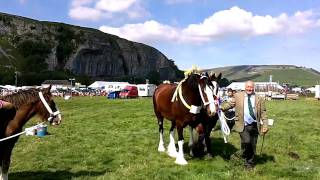 preview picture of video 'Kilnsey Show'