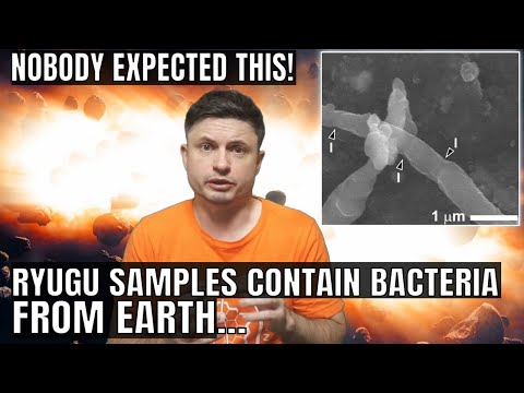 Shocking Discovery of Earth Bacteria Inside Ryugu Asteroid Samples + Other Updates