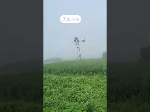 Ipueira Rn 09/04/2026