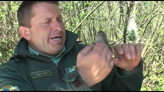 TERMÉSZETVÉDELEM HATÁROK NÉLKÜL - 18. adás