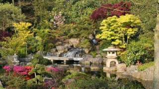 Meditation music.  Japanese garden.