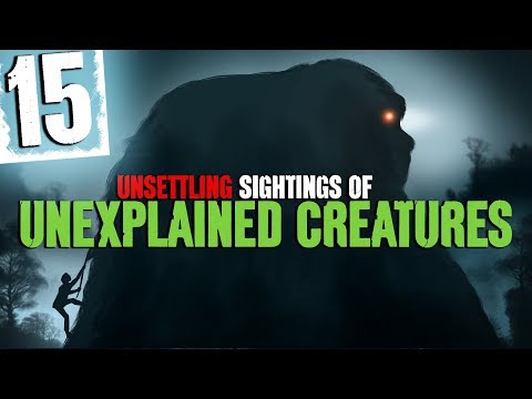15 Unexplained Creature Sightings with Forest Sounds and Water Sound Effects - Darkness Prevails