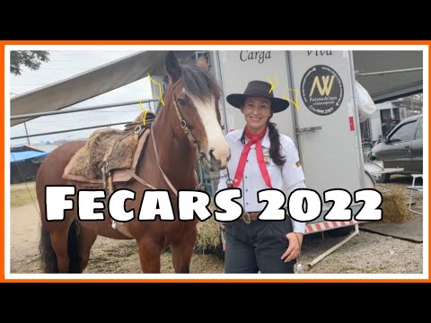 Campeonato estadual 2022