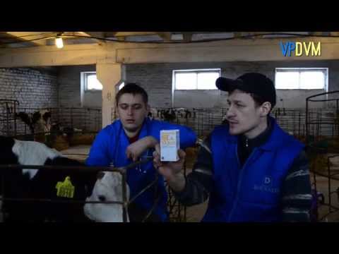 Лечение позвоночника китае отзывы Боли в шее и головные боли
