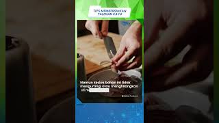 Cara Membersihkan Talenan Kayu agar Tampak seperti Baru hingga Mampu Hilangkan Aroma Bekas Makanan