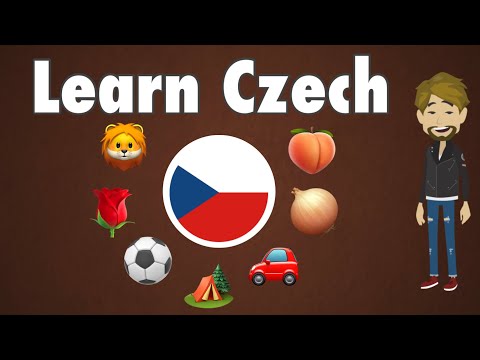 Learn your first 400 Words in Czech - Video for Beginners in Czech