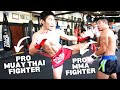 Pro MMA Fighter vs Pro Muay Thai Fighter