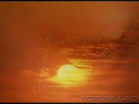 Sangrando - Gonzaguinha