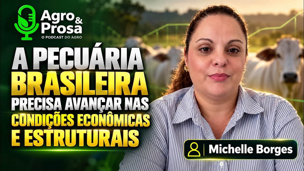 A pecuária brasileira precisa avançar nas condições econômicas e estruturais