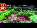 Allari Bava Movie Maduvani Lo Radhika Vo Video Song Krishna Jayaprada