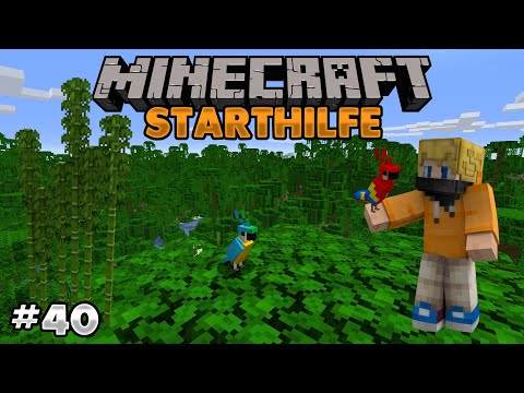 Minecraft Starthilfe - Der Dschungel in Minecraft #40