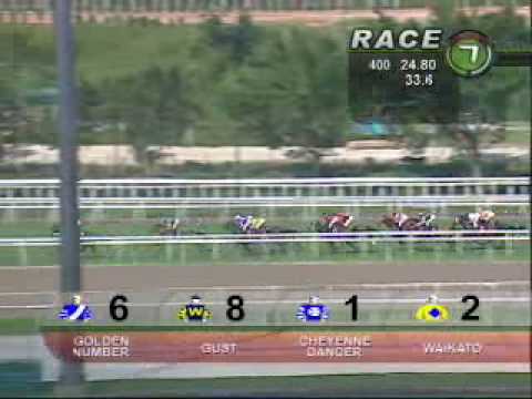 SAAS FEE STAKES 11/07/10 - WAIKATO