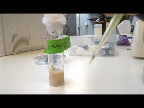 Assessment of SSR experiments