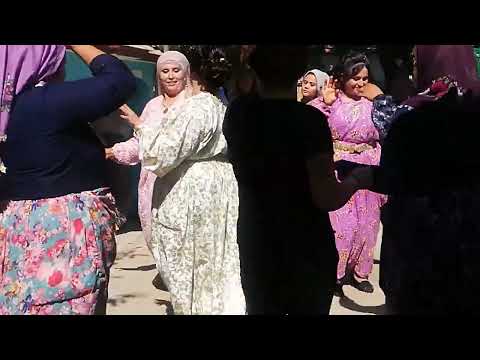 Müzisyen Özlem Ökten AKŞEHİR düğünleri Elevres köyü mahallesinden Sevginur & Osman Arslan çiftinin