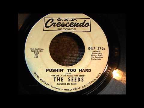 THE SEEDS PUSHIN' TO HARD G.N.P. CRESCENDO RECORDS GARAGE BAND