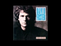 David Foster - Walkaway.