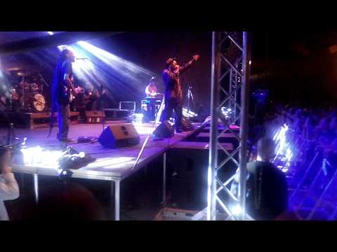 cultural reggae vibez 2017