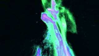 Death grips - Bass rattle stars out the sky