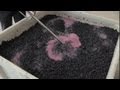 How to Crush Grapes for Wine : Wine Topics