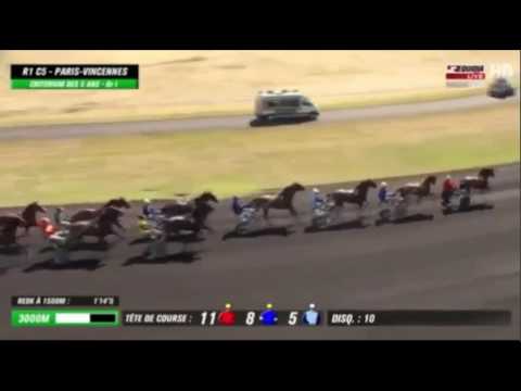 03/09/2016 Critérium des 5 ans GR I BOLD EAGLE