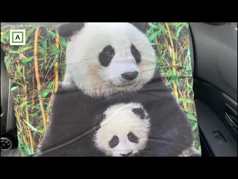 2020 Dag 206 | Endelig traff vi pappa igjen