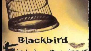 Blackbird - Mission (2003)