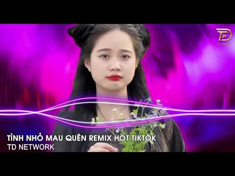 Tình Nhỏ Mau Quên - TD NETWORK Remix | Nhạc Hot Tik Tok