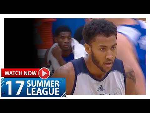Josh Huestis Full Highlights vs Knicks (2017.07.03) Summer League - 26 Pts, 7 Reb