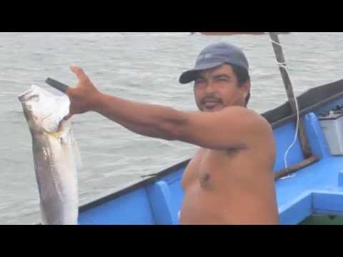 Clean Water for Coastal Panama