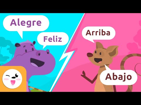 Los SINÓNIMOS y los ANTÓNIMOS | Recopilación | ¿Cuál es la diferencia entre sinónimo y antónimo?