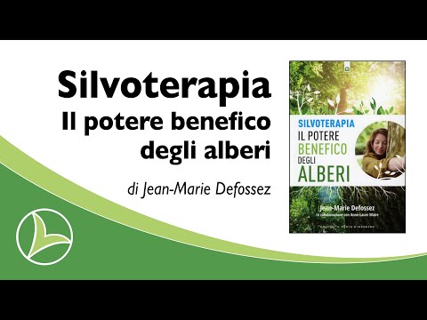 Silvoterapia, il potere benefico degli alberi