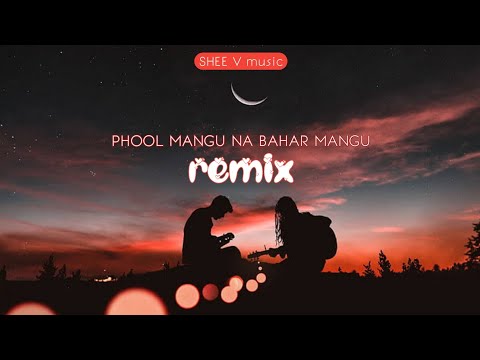 REMIX - PHOOL MANGU NA BAHAR MANGU - ALKA YAGNIK & UDIT NARAYAN - PRO. SHEE V