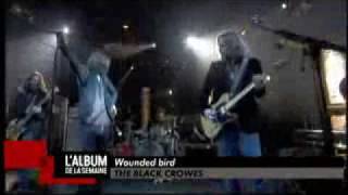 The Black Crowes - Wounded Bird