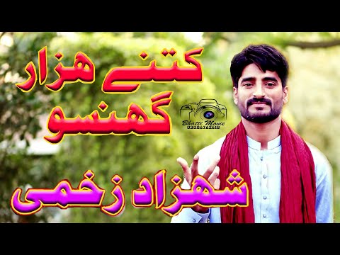 Ketne Hazr Ghnso Saraiki Song Shahzad Zakhmi By Bhatti Movies Layyah  0300-6762618