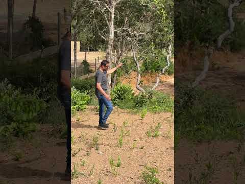 Atendimento de sábado no lago Corumbá IV em Alexânia GO  #meulagocorumba #lagocorumba4