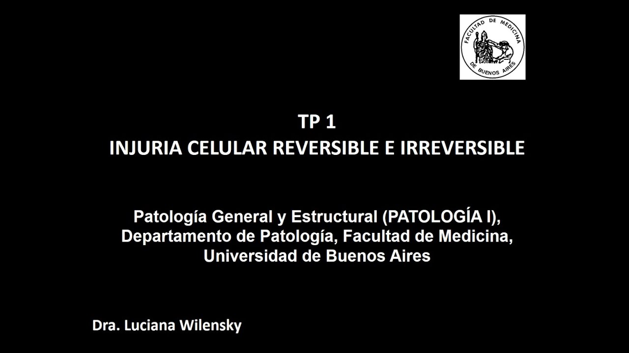 TP1 Injuria Reversible e Irreversible - Dra. Luciana Wilensky