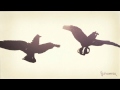 «CYCLOP-2011»: Линда - Так кричали птицы... 
