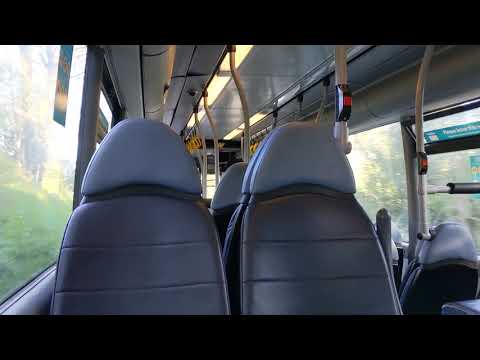 Last X14 of The Day | Route X14: 4664/NK07FZG - Scania CN94UB Omnicity