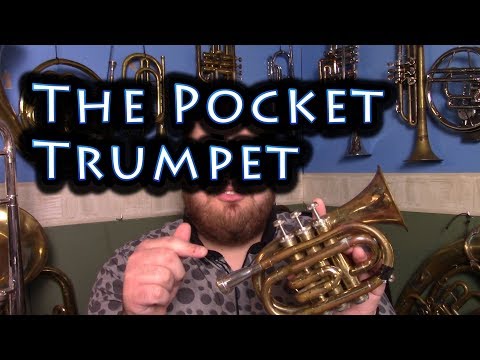 download lagu mp3 mp4 Pocket Trumpet, download lagu Pocket Trumpet gratis, unduh video klip Pocket Trumpet